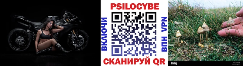 Галлюциногенные грибы MAGIC MUSHROOMS  Кочубеевское 