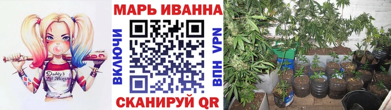Бошки Шишки THC 21% где можно купить Кочубеевское